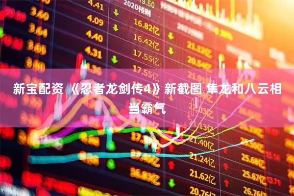 新宝配资 《忍者龙剑传4》新截图 隼龙和八云相当霸气
