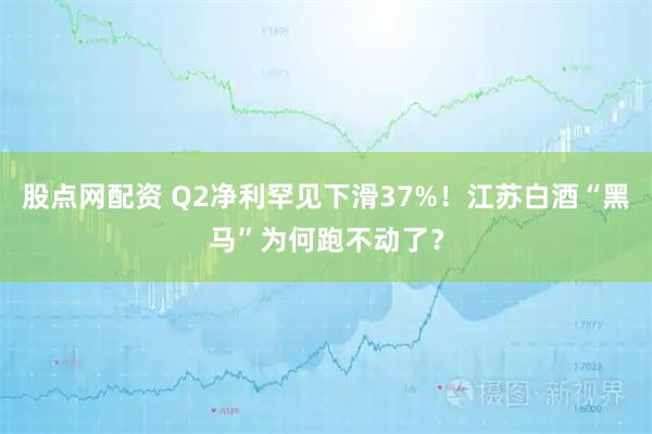 股点网配资 Q2净利罕见下滑37%！江苏白酒“黑马”为何跑不动了？