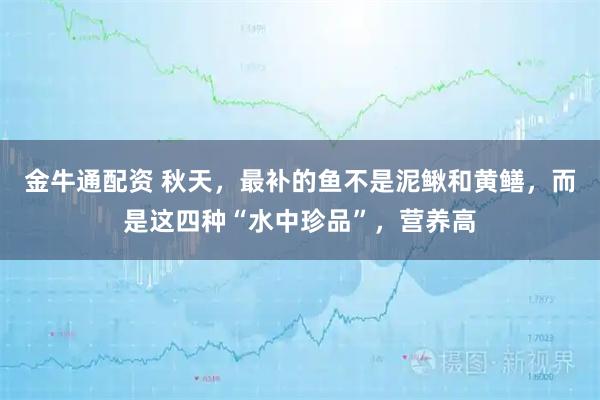 金牛通配资 秋天，最补的鱼不是泥鳅和黄鳝，而是这四种“水中珍品”，营养高