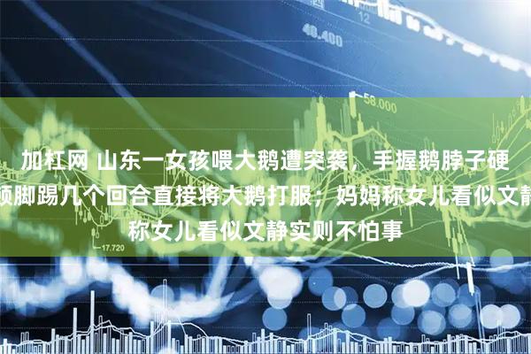 加杠网 山东一女孩喂大鹅遭突袭，手握鹅脖子硬核反击！一顿脚踢几个回合直接将大鹅打服；妈妈称女儿看似文静实则不怕事
